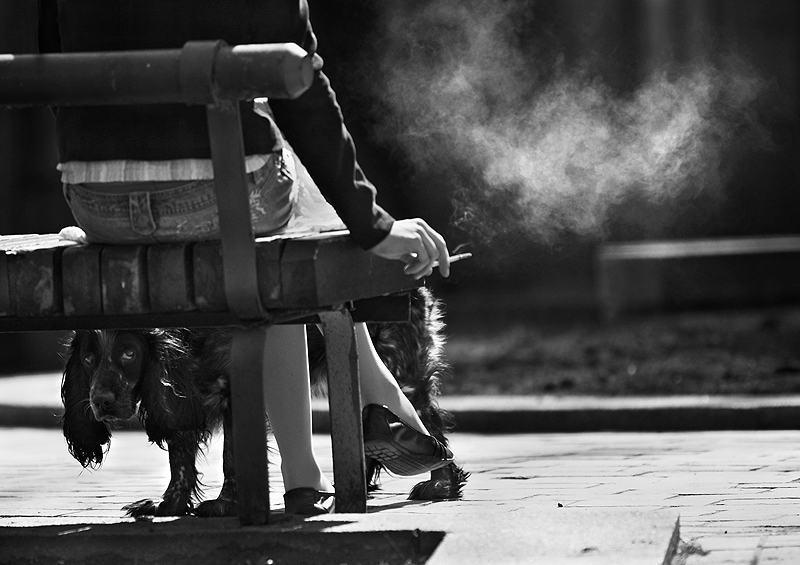 Фото жизнь (light) - Дмитрий Лукьяненко - Жанр... - О пасивном курении...