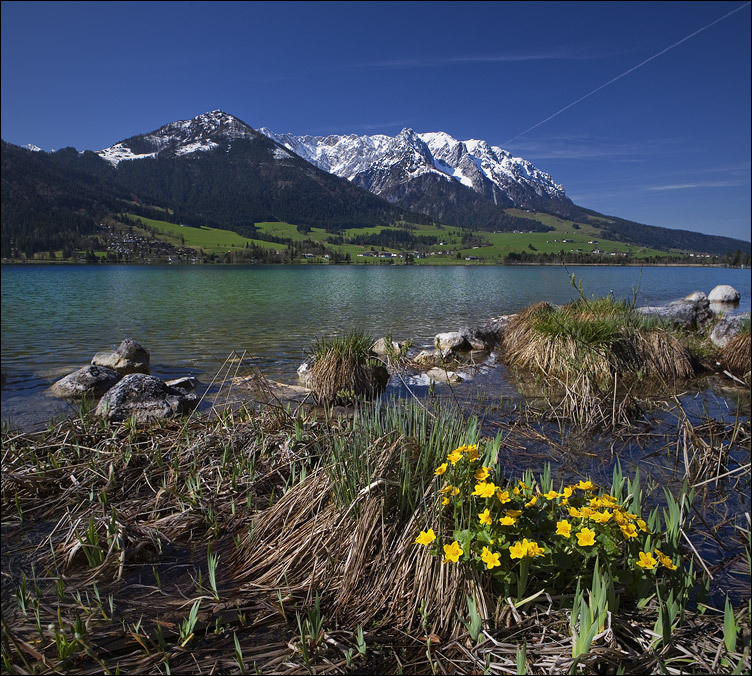 Фото жизнь (light) - Nadezda_K - Романтическая Германия - Весна пришла