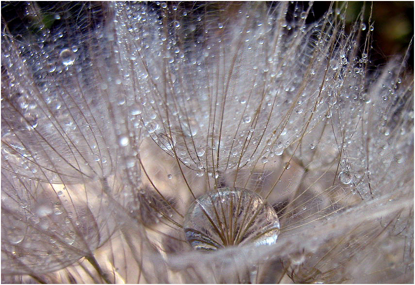 Фото жизнь (light) - Rei4al - корневой каталог - o*o*O**o