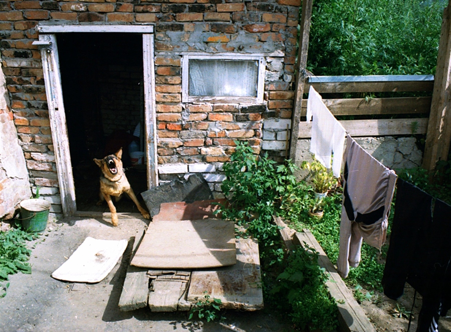 Фото жизнь