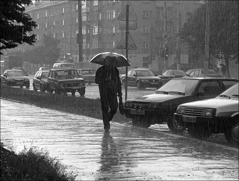 Фото жизнь (light) - Евгений Лотоцкий - корневой каталог - Летний дождь