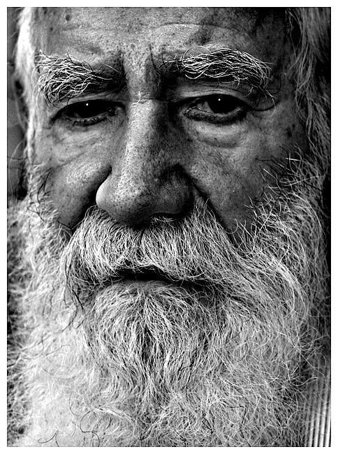 Фото жизнь (light) - Vladimir Marshal - корневой каталог - Черномор