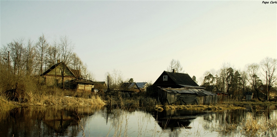 Фото жизнь