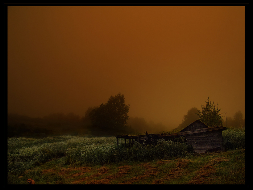 Фото жизнь - Павел - корневой каталог - Туман в деревне#2
