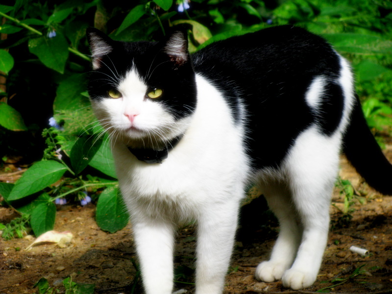 Фото жизнь (light) - ramila - корневой каталог - Презрение