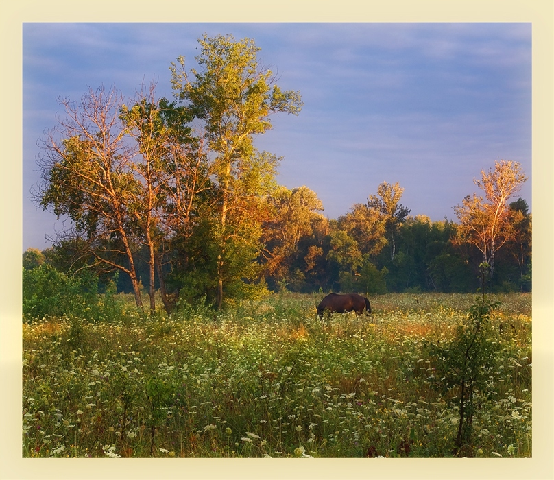 Фото жизнь