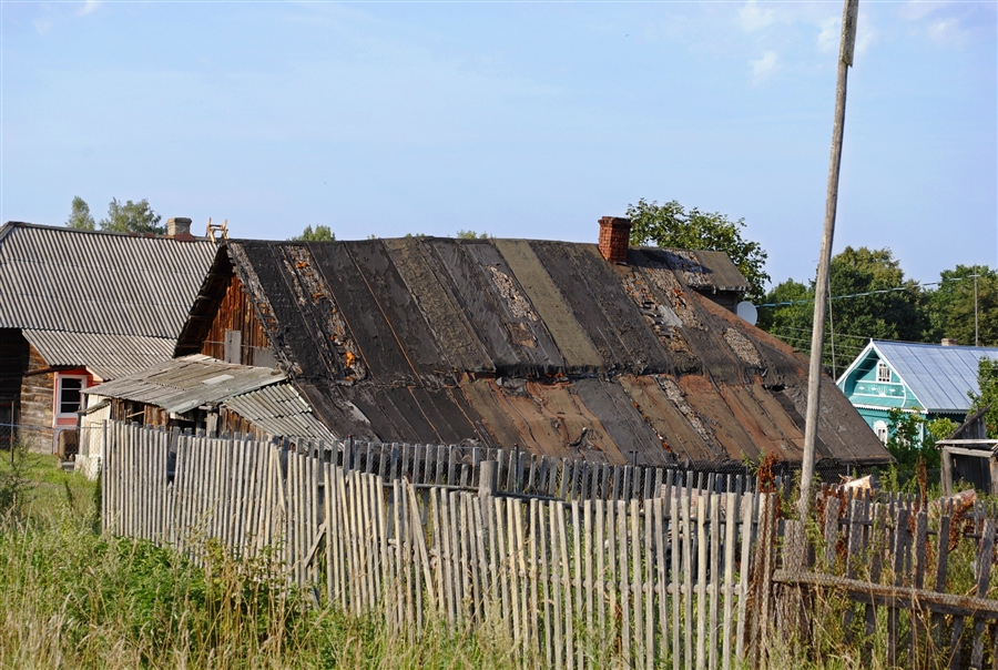 Фото жизнь