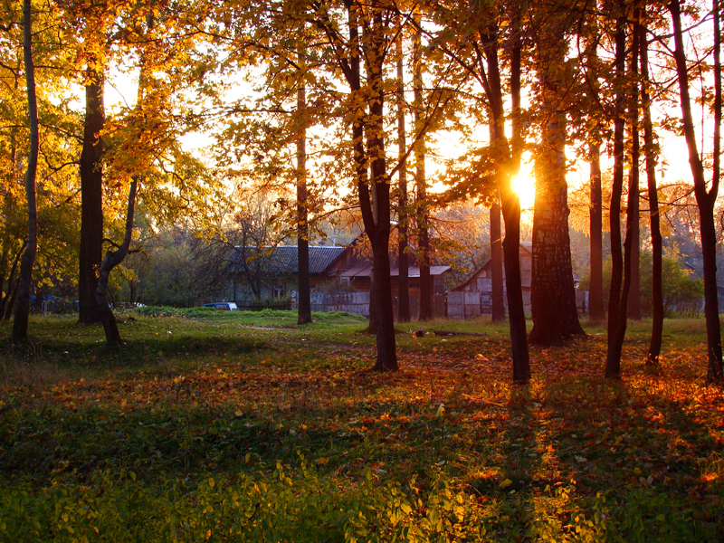 Фото жизнь (light) - pek_sentiabr - Природа - Вечер за городом