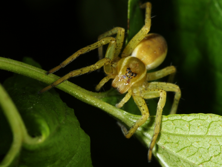 Фото жизнь (light) - atilla77 - корневой каталог - маленький ктулху