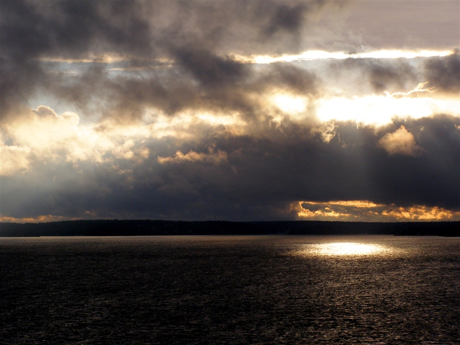 Возможно, и он любит подглядывать...