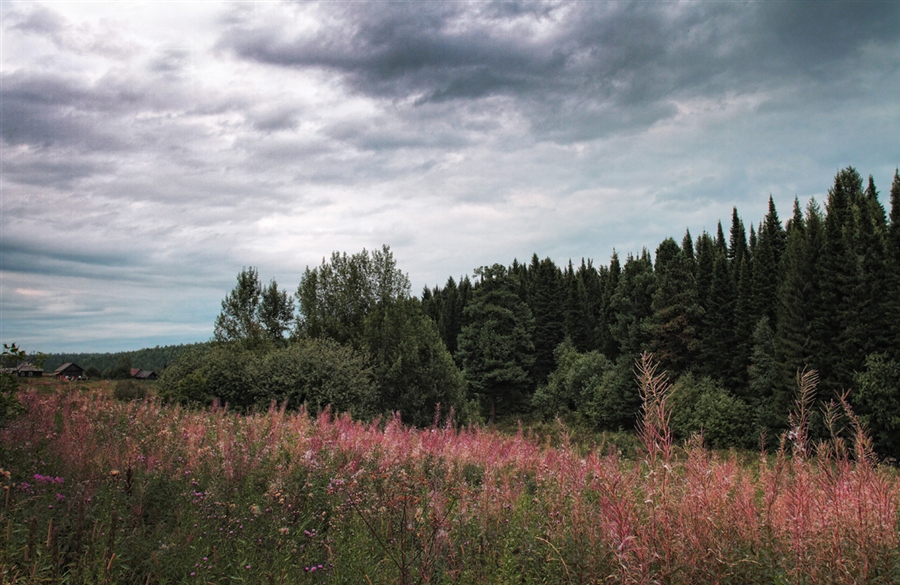 Фото жизнь