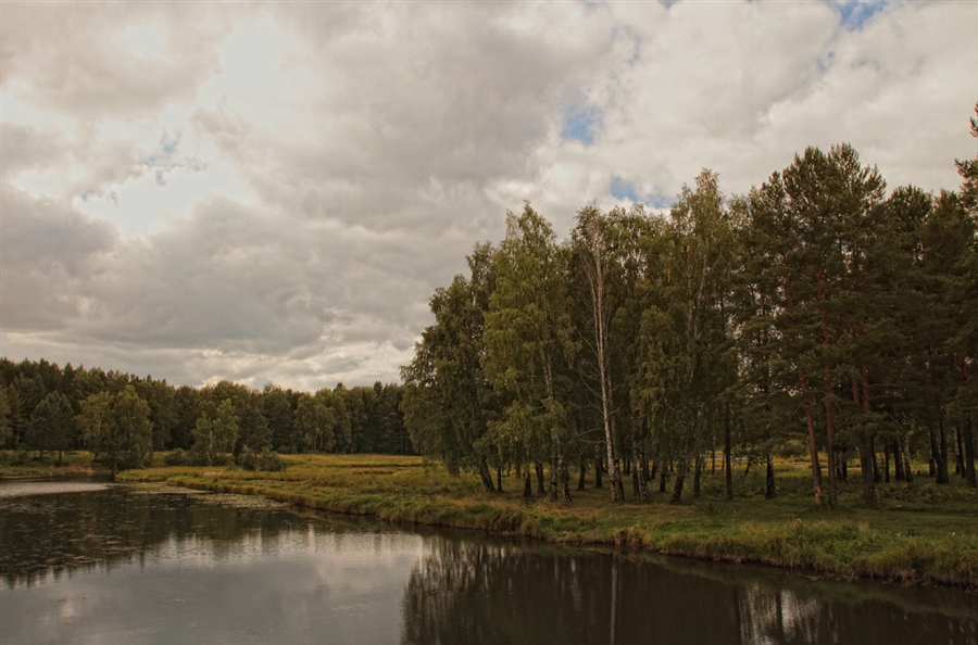 Фото жизнь