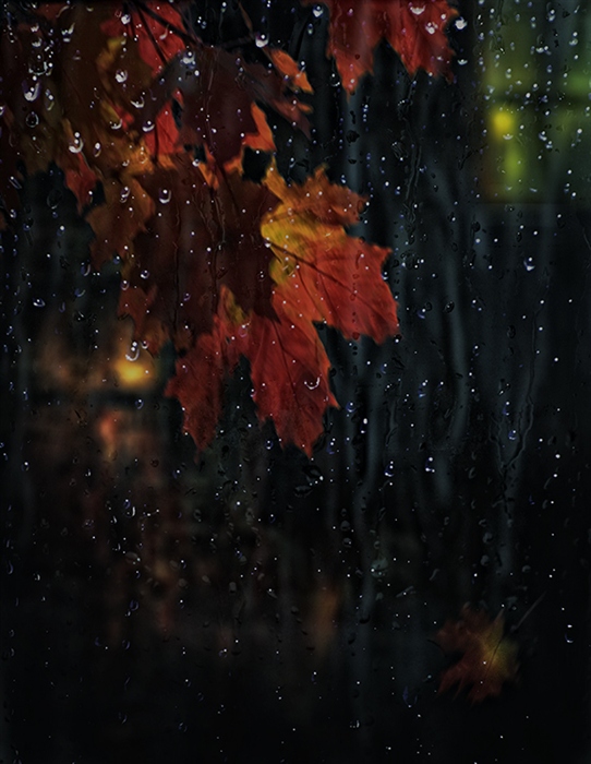 Rain autumn grief. 