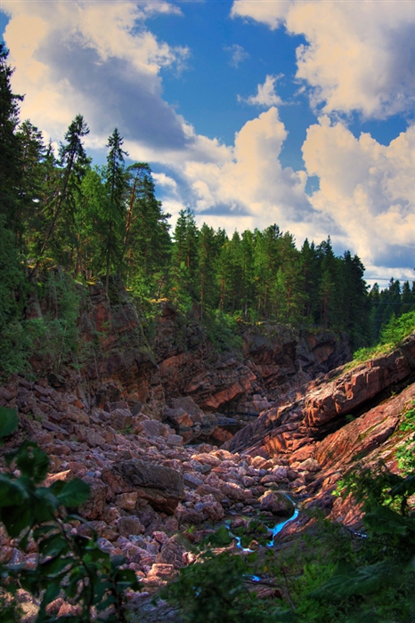 Фото жизнь
