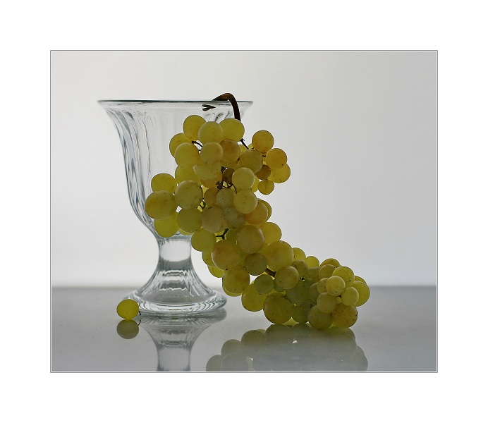 Фото жизнь - Lilliya - корневой каталог - с виноградом