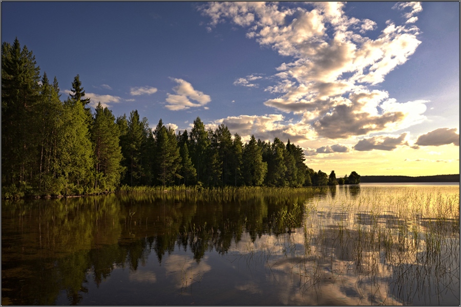Фото жизнь