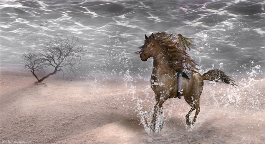 ���� �����