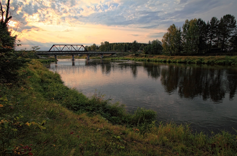 Фото жизнь