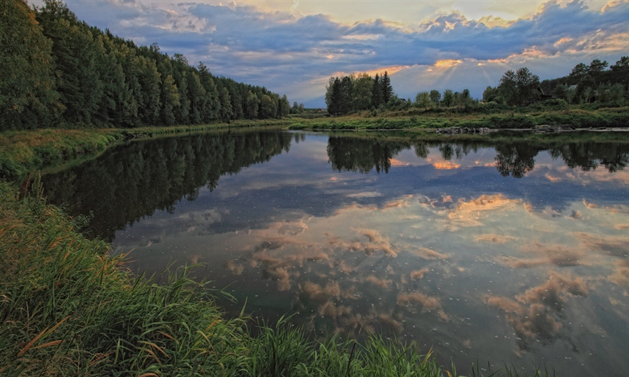 Фото жизнь