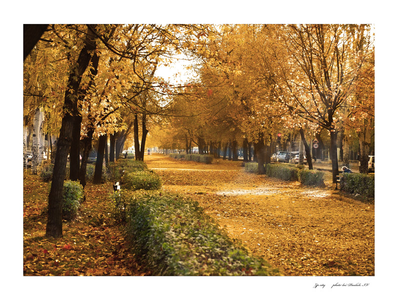 Фото жизнь (light) - IvanP - корневой каталог - Осень в г.Запорожье