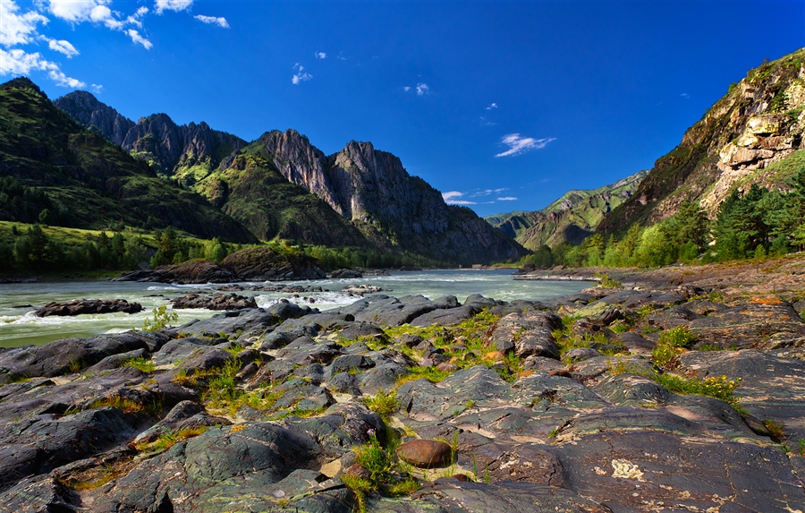 Фото жизнь