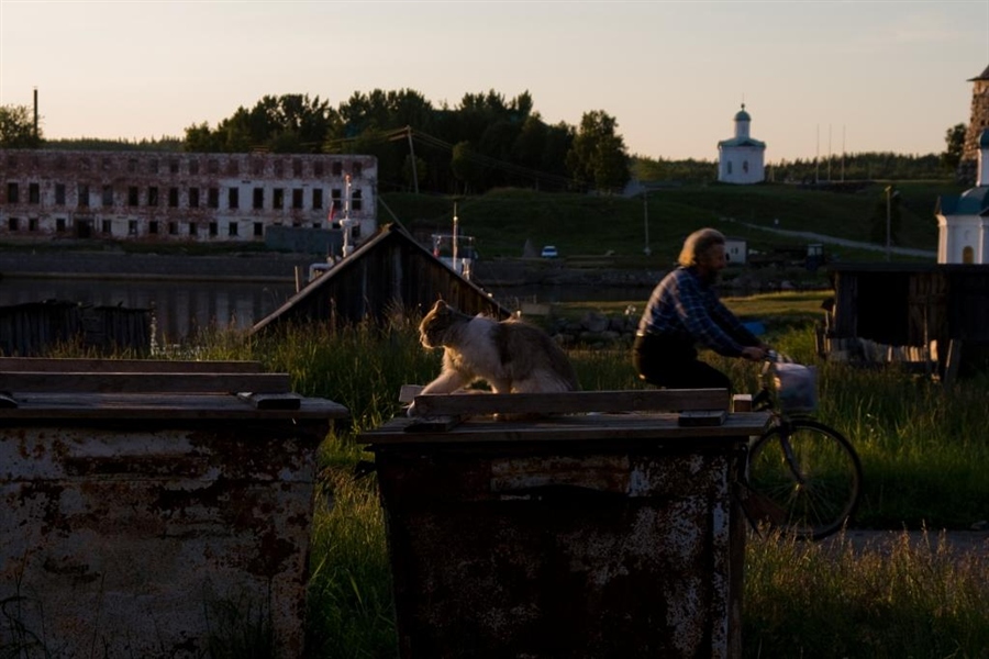 Фото жизнь