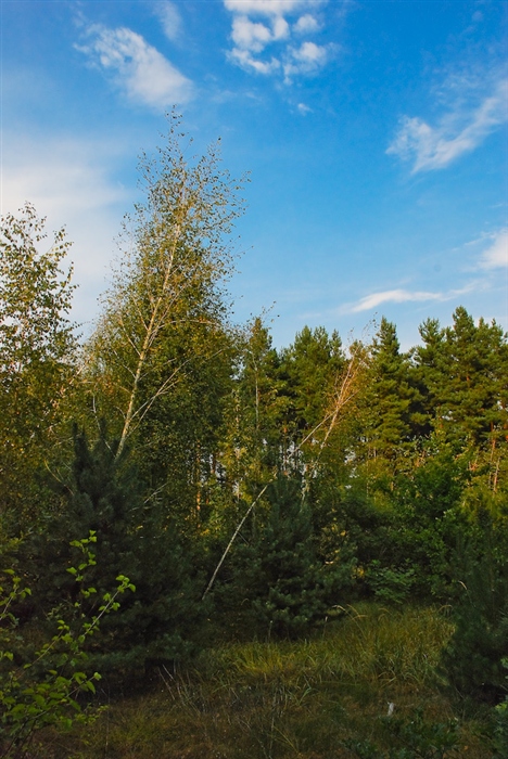 Фото жизнь