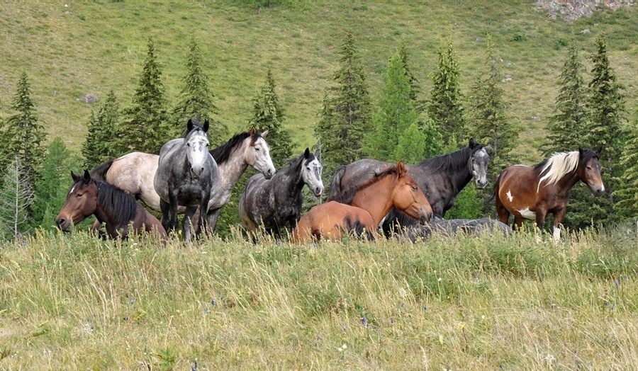 Фото жизнь