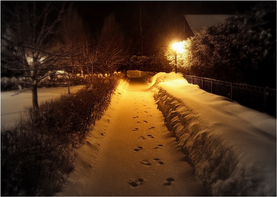 Фото жизнь