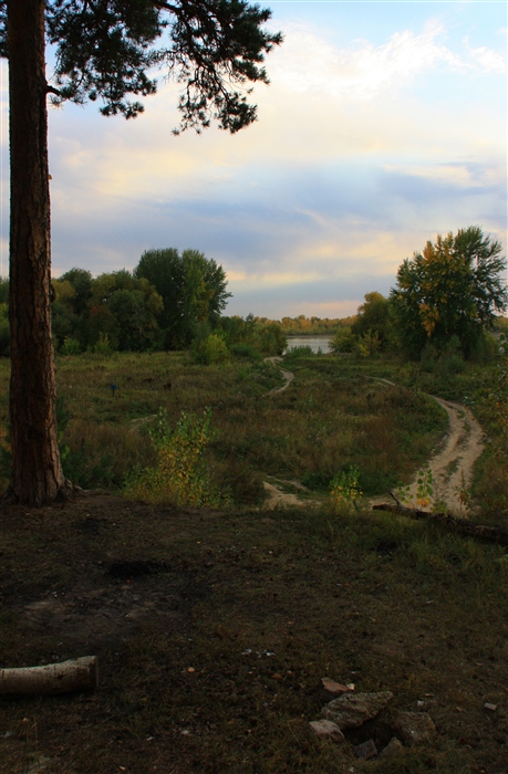 Фото жизнь