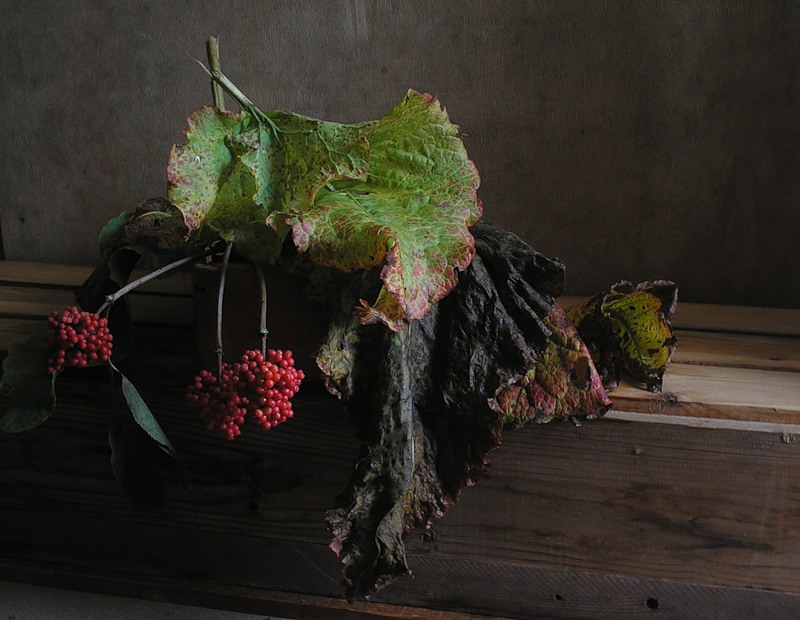 Фото жизнь (light) - TORTILLA - ромашки, листики... - добавляем ягоды