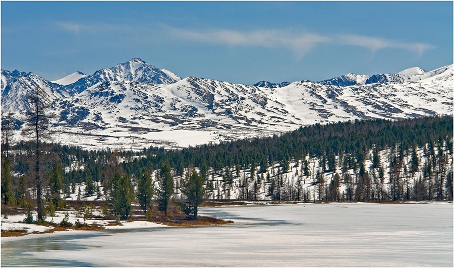 Фото жизнь