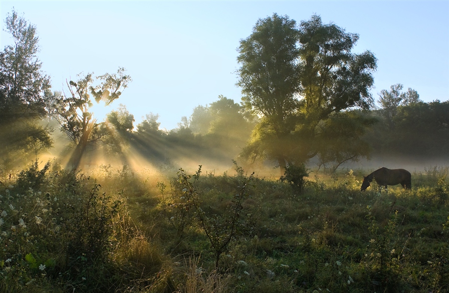 Фото жизнь