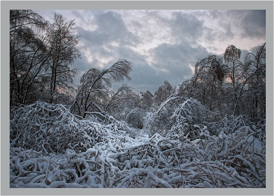 Фото жизнь