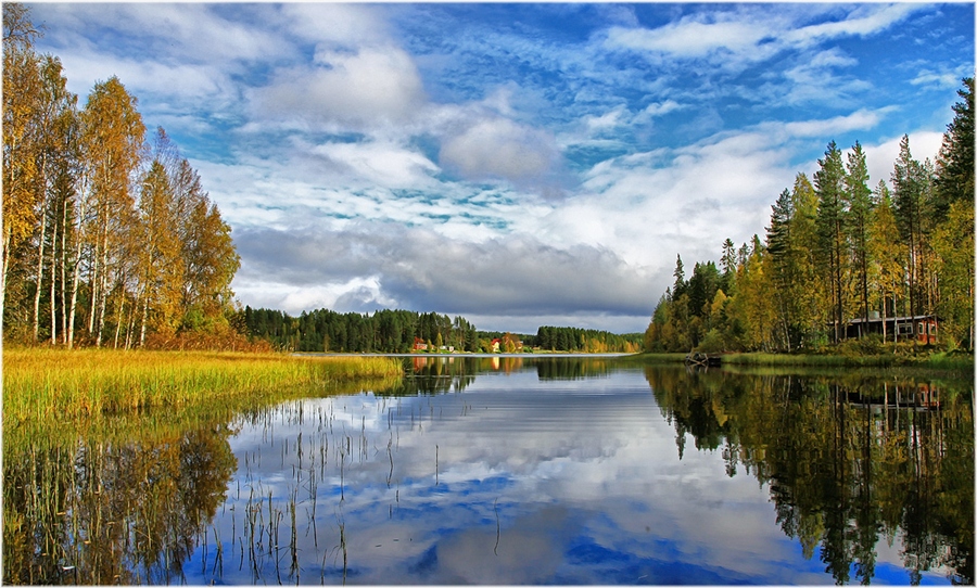 Фото жизнь