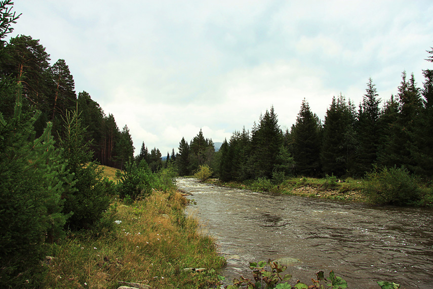 Фото жизнь (light) - Ахунов Тимур - корневой каталог - ***