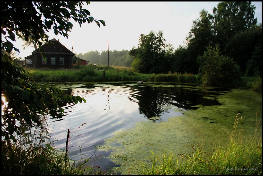 Фото жизнь