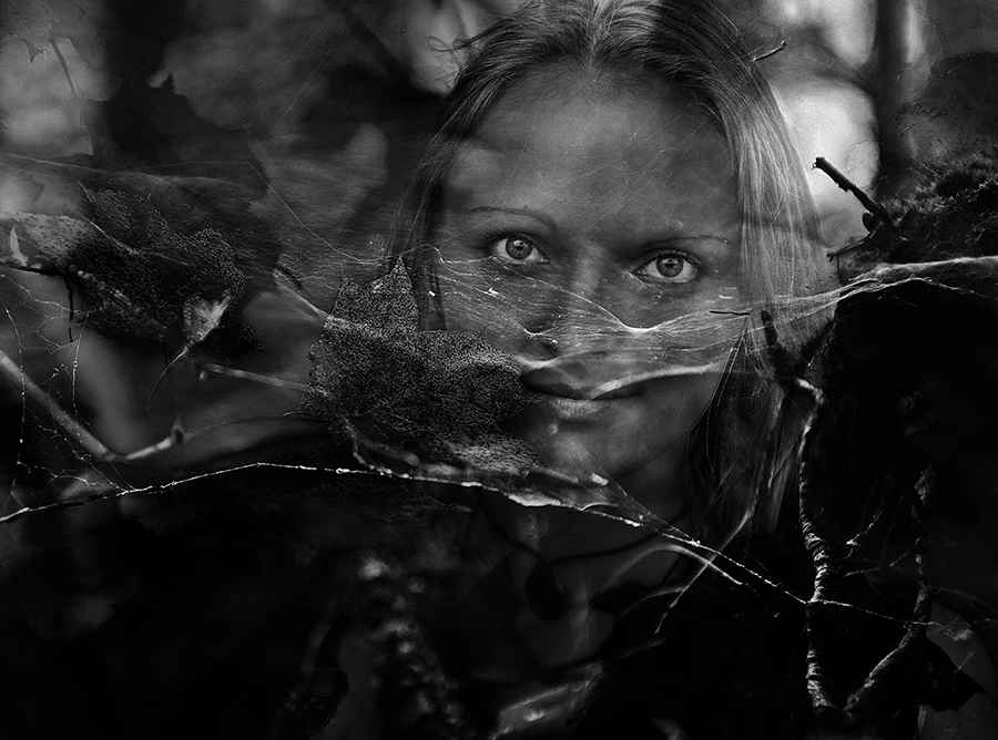 Фото жизнь (light) - Орлов Валерий - корневой каталог - Осень