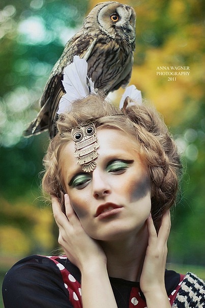 Фото жизнь - Карина Алифирова - корневой каталог - "Owl