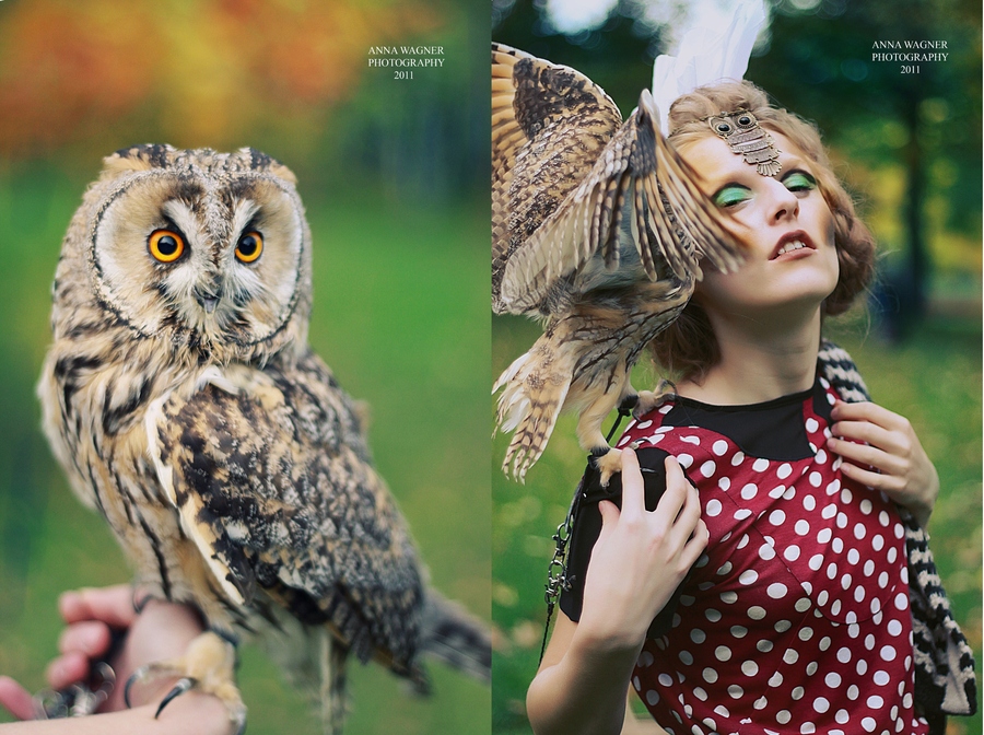 Фото жизнь (light) - Карина Алифирова - корневой каталог - Owl