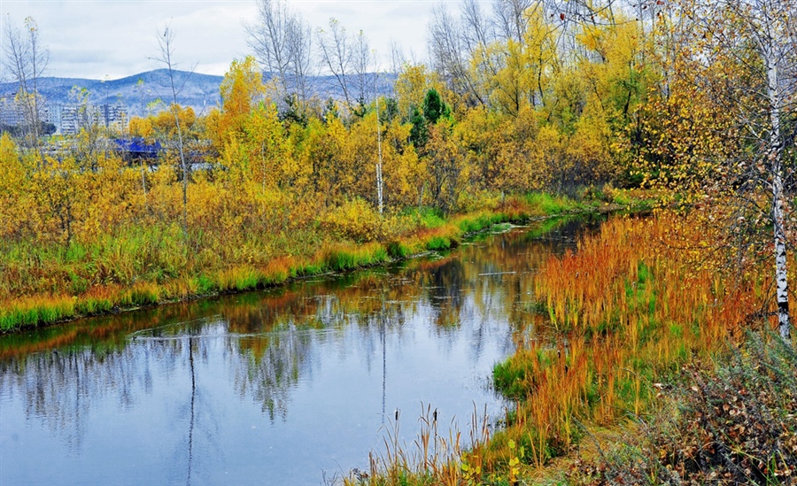 Фото жизнь