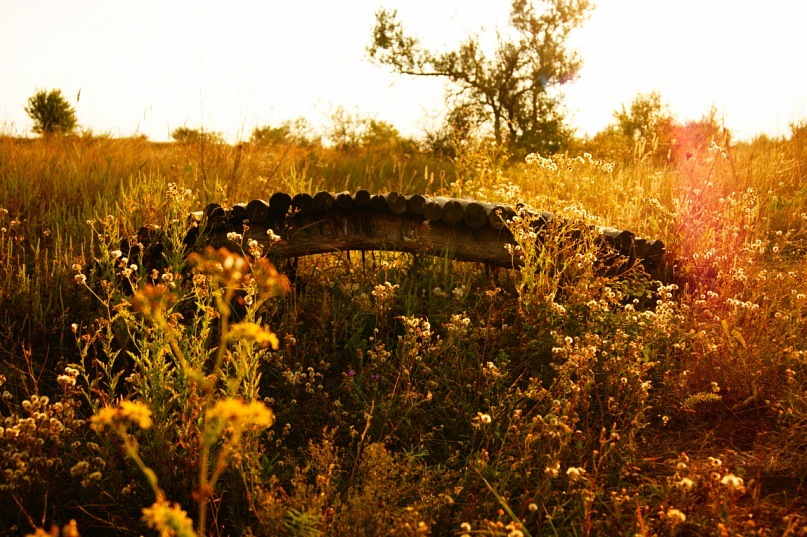 Фото жизнь