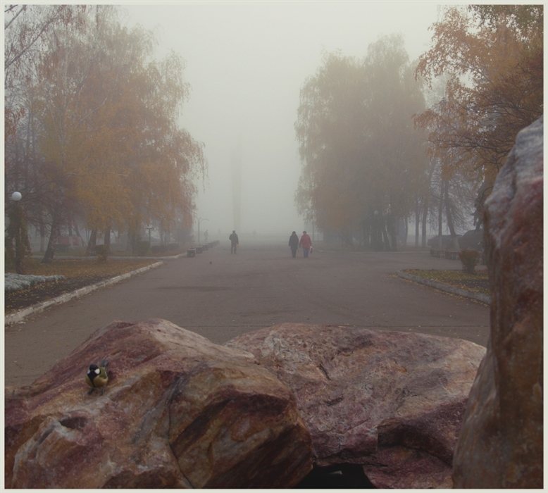 Фото жизнь