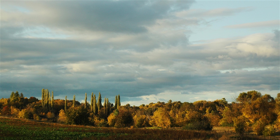 из серии Дорога домой