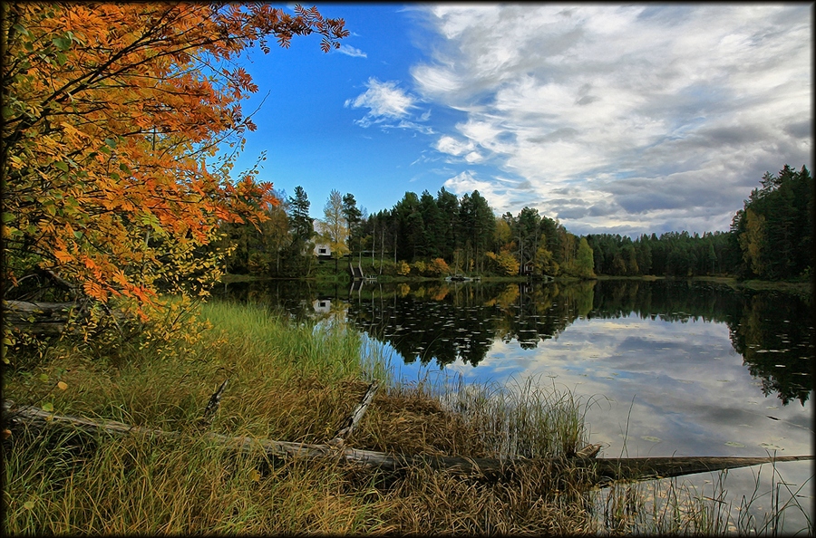 Фото жизнь