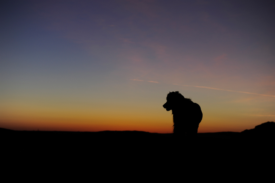 Фото жизнь (light) - Аринка - корневой каталог - на фоне заката