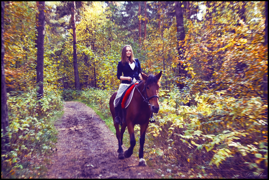 Фото жизнь (light) - Александр Лаврухин - Horse - прогулка в лесу