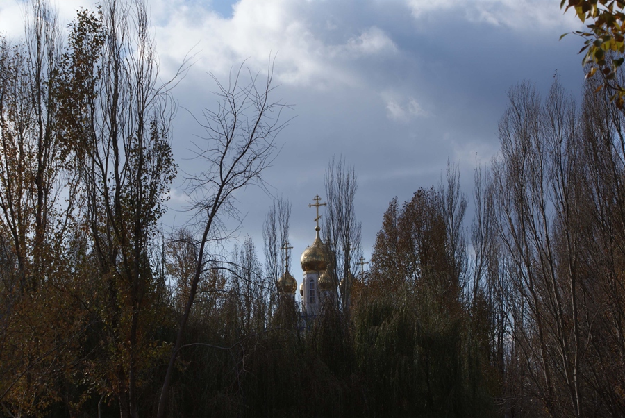 Фото жизнь