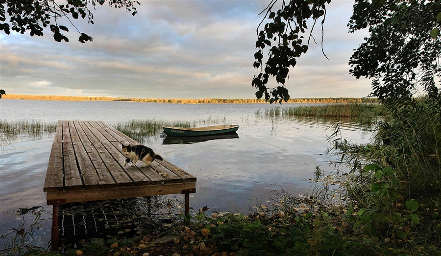 Фото жизнь