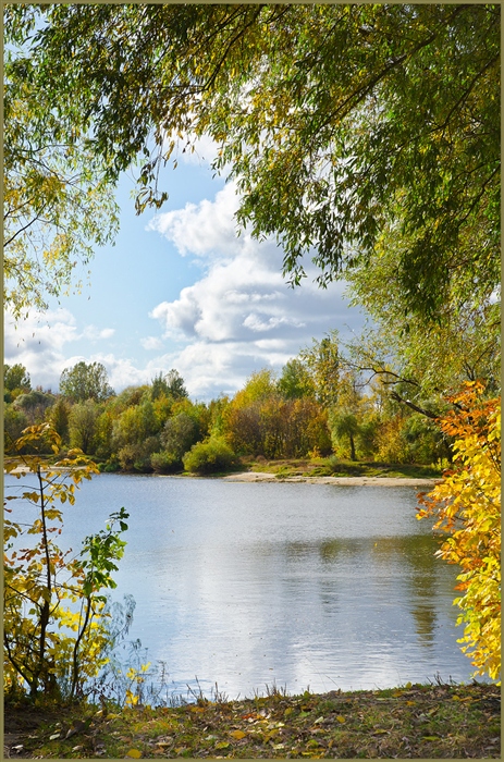 Фото жизнь